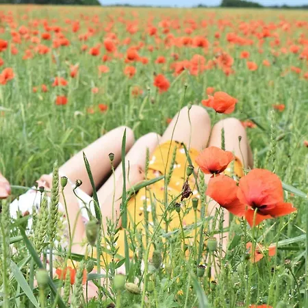 Landidylle Mertensdorf - Triglitz