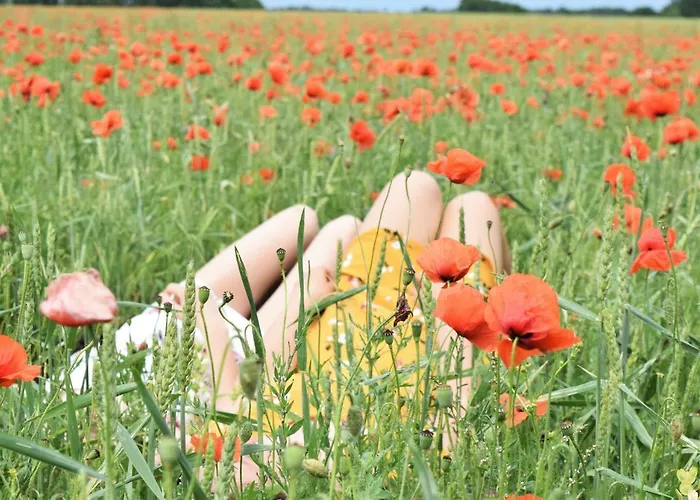 Landidylle Mertensdorf - Triglitz