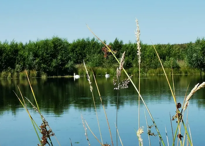Landidylle Mertensdorf - Lägenhet Triglitz